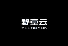 野草云：开年钜惠，香港SSD VPS促销138元/年，100Mbps BGP带宽！-主机镇