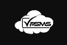VpsMS洛杉矶安畅GIA CN2服务器六一狂欢钜惠,300M带宽,美国原生IP,55元/月起-主机镇
